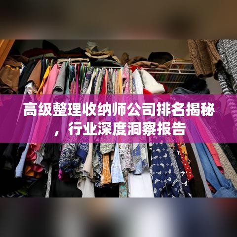 高级整理收纳师公司排名揭秘，行业深度洞察报告