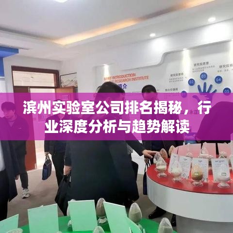 滨州实验室公司排名揭秘，行业深度分析与趋势解读