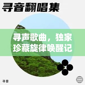 寻声歌曲，独家珍藏旋律唤醒记忆深处