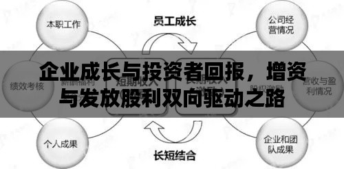 企业成长与投资者回报，增资与发放股利双向驱动之路