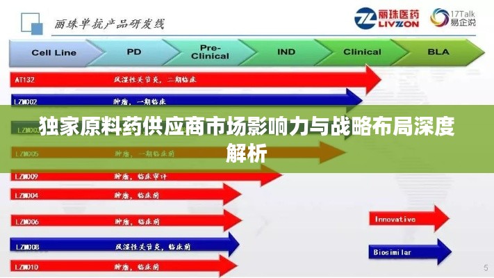 独家原料药供应商市场影响力与战略布局深度解析