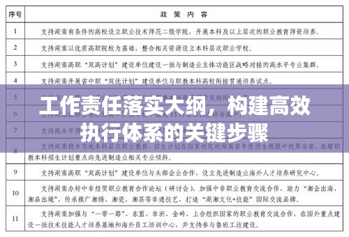 工作责任落实大纲，构建高效执行体系的关键步骤