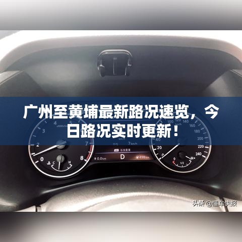 堂堂正正