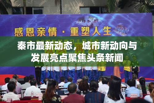 秦市最新动态，城市新动向与发展亮点聚焦头条新闻