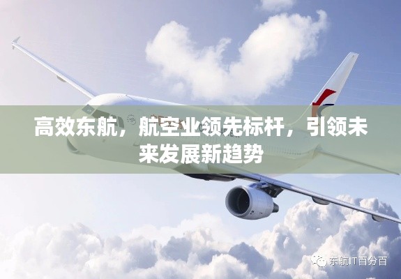 高效东航，航空业领先标杆，引领未来发展新趋势