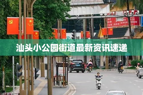 汕头小公园街道最新资讯速递