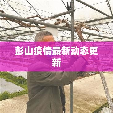 彭山疫情最新动态更新