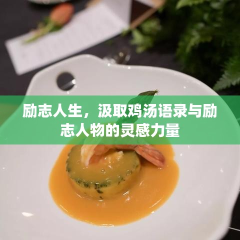 励志人生，汲取鸡汤语录与励志人物的灵感力量