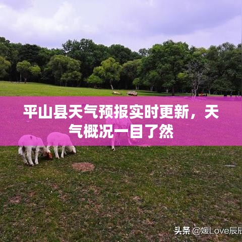 平山县天气预报实时更新，天气概况一目了然