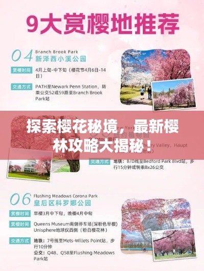探索樱花秘境，最新樱林攻略大揭秘！