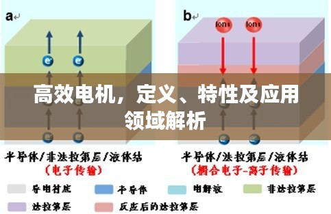 高效电机，定义、特性及应用领域解析