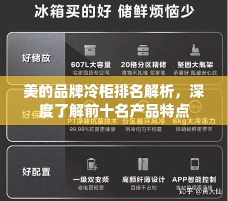 美的品牌冷柜排名解析，深度了解前十名产品特点