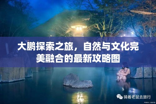 大鹏探索之旅，自然与文化完美融合的最新攻略图