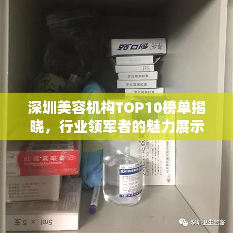 深圳美容机构TOP10榜单揭晓，行业领军者的魅力展示