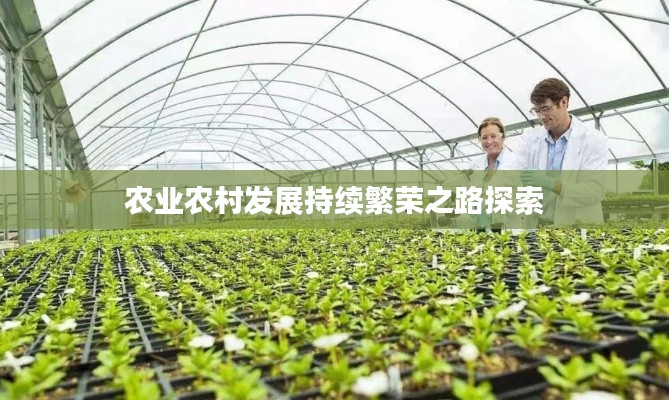 农业农村发展持续繁荣之路探索