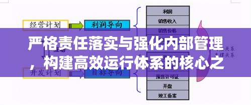 严格责任落实与强化内部管理，构建高效运行体系的核心之道