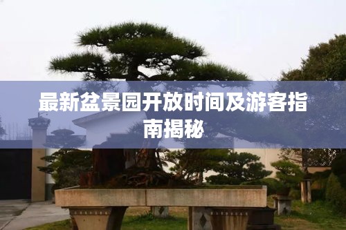 最新盆景园开放时间及游客指南揭秘