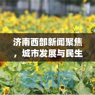 济南西部新闻聚焦，城市发展与民生改善同步前行