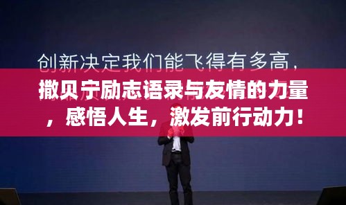 撒贝宁励志语录与友情的力量，感悟人生，激发前行动力！