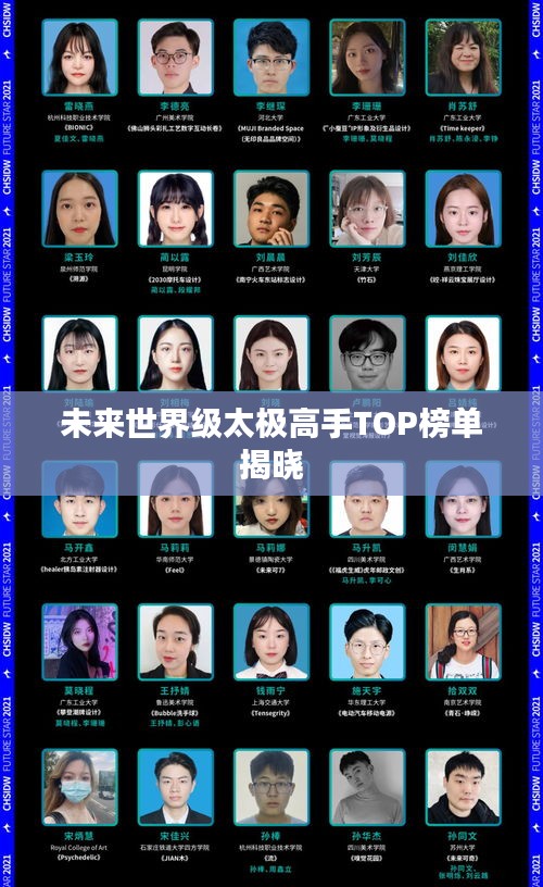 未来世界级太极高手TOP榜单揭晓