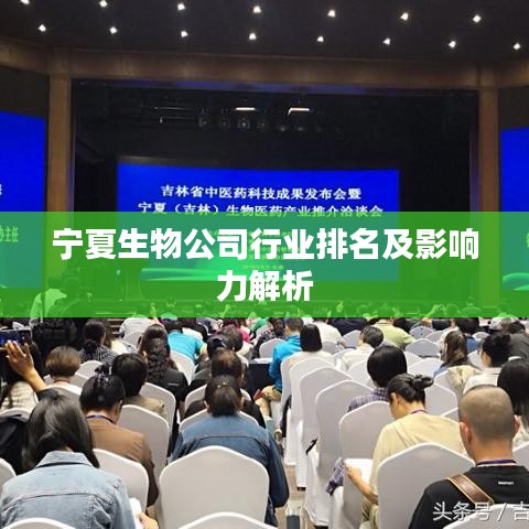 2025年5月7日 第2页