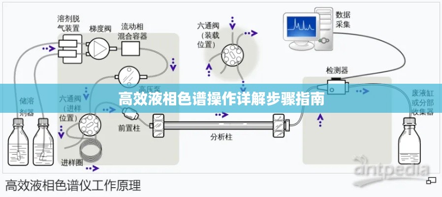 高效液相色谱操作详解步骤指南