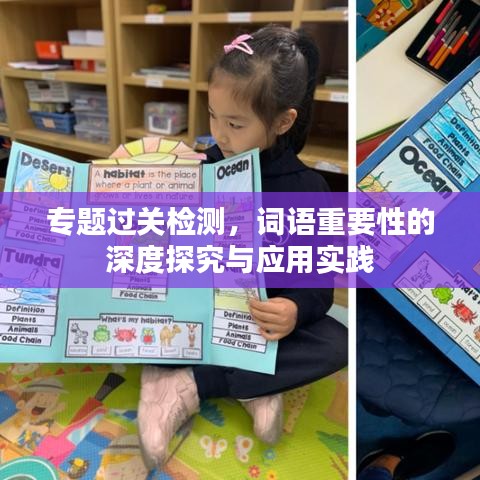 专题过关检测，词语重要性的深度探究与应用实践