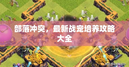 部落冲突，最新战宠培养攻略大全