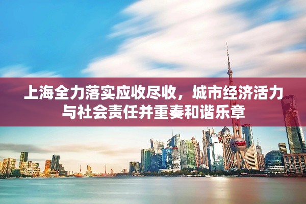 上海全力落实应收尽收，城市经济活力与社会责任并重奏和谐乐章