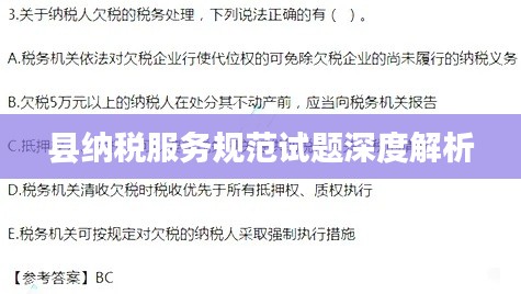 县纳税服务规范试题深度解析