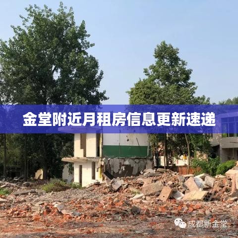金堂附近月租房信息更新速递