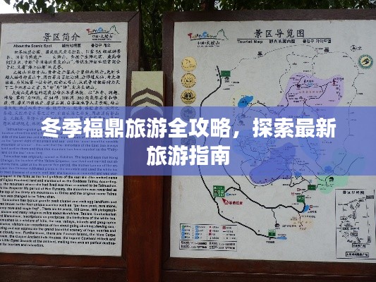 冬季福鼎旅游全攻略，探索最新旅游指南