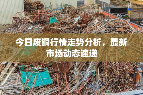 今日废铜行情走势分析，最新市场动态速递