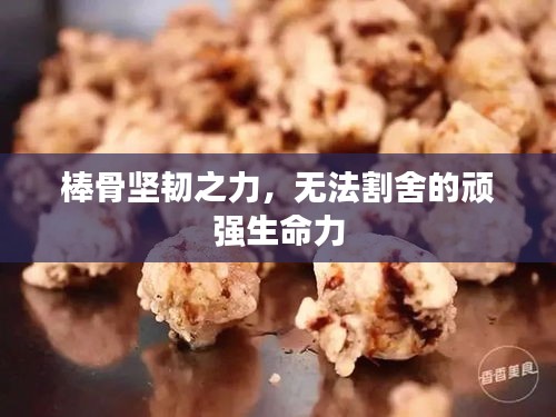 棒骨坚韧之力，无法割舍的顽强生命力