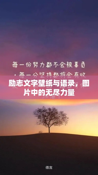 2025年5月12日 第3页