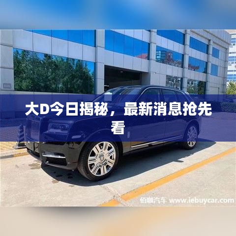 大D今日揭秘，最新消息抢先看