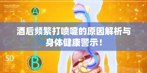 酒后频繁打喷嚏的原因解析与身体健康警示！