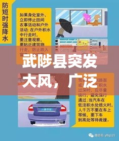 武陟县突发大风，广泛影响下的紧急警示