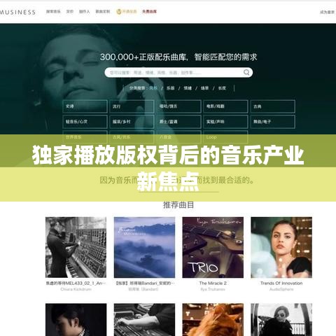 独家播放版权背后的音乐产业新焦点