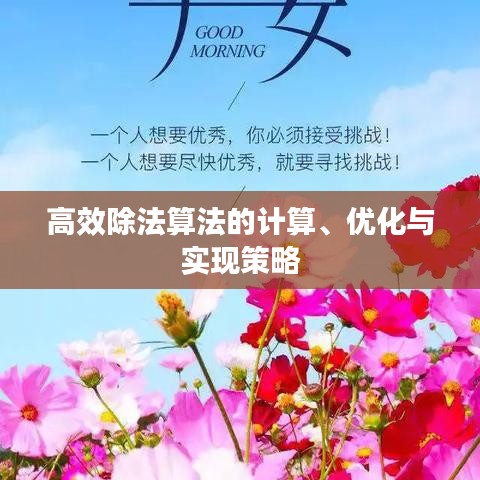 高效除法算法的计算、优化与实现策略