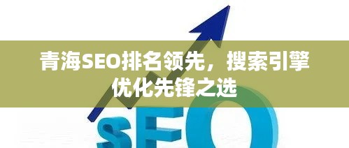 青海SEO排名领先，搜索引擎优化先锋之选