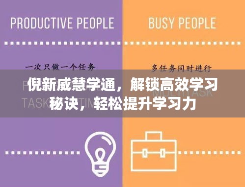 倪新威慧学通，解锁高效学习秘诀，轻松提升学习力