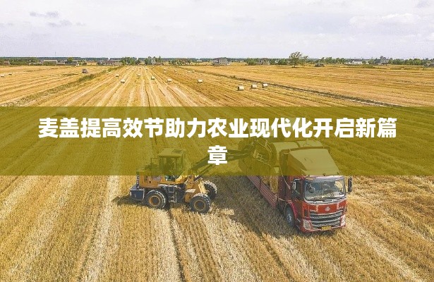 麦盖提高效节助力农业现代化开启新篇章