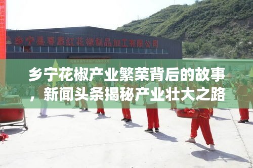 乡宁花椒产业繁荣背后的故事，新闻头条揭秘产业壮大之路