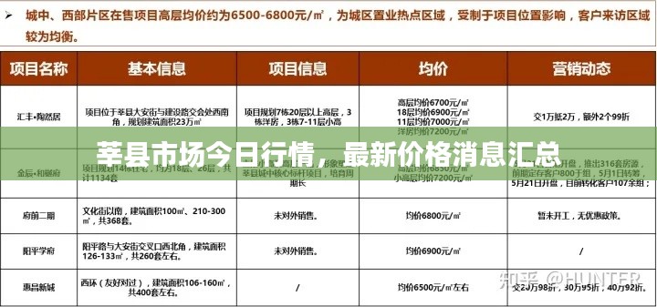 莘县市场今日行情，最新价格消息汇总
