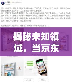 揭秘未知领域，当京东缺席时，百度为你开启探索之门
