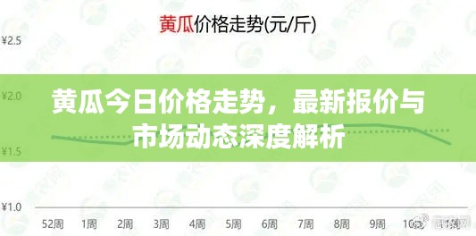 黄瓜今日价格走势，最新报价与市场动态深度解析