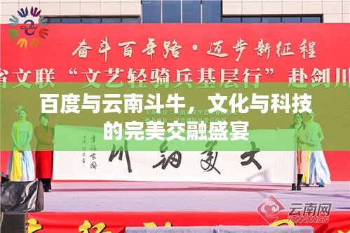 百度与云南斗牛，文化与科技的完美交融盛宴
