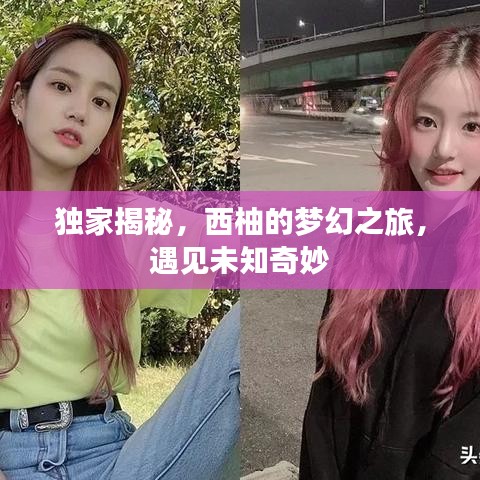 独家揭秘，西柚的梦幻之旅，遇见未知奇妙