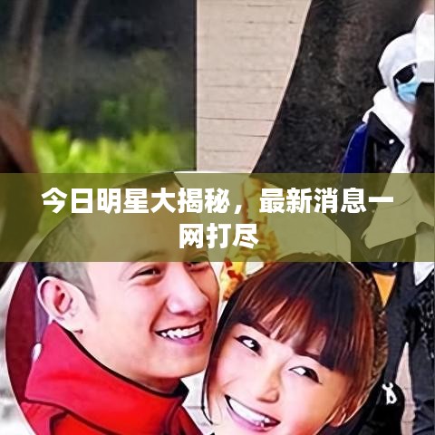今日明星大揭秘，最新消息一网打尽